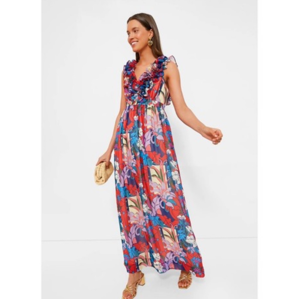 Tuckernuck’s Climbing Cosmos dress NWT